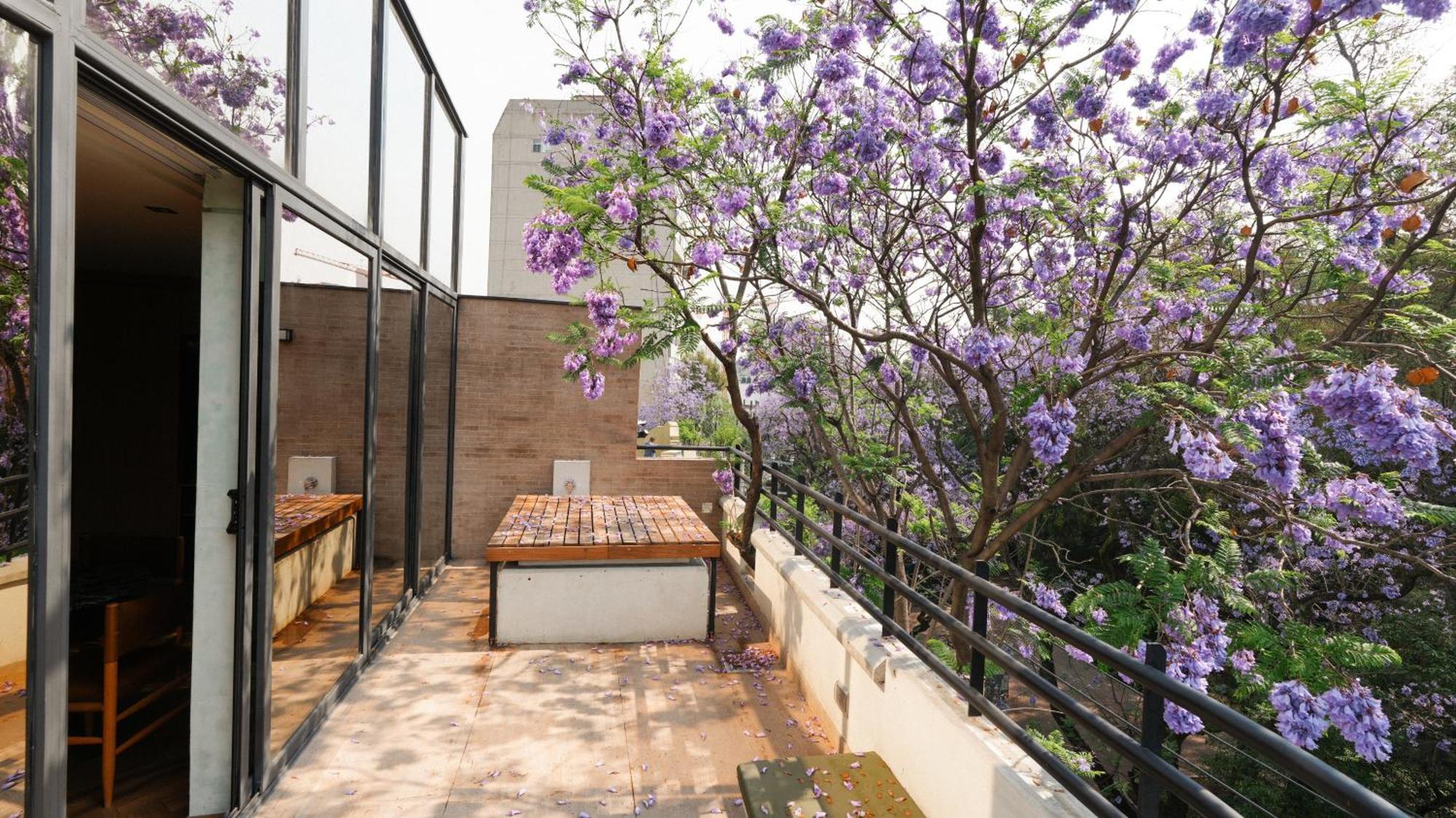 Rodona Hotel Μεξικό Εξωτερικό φωτογραφία