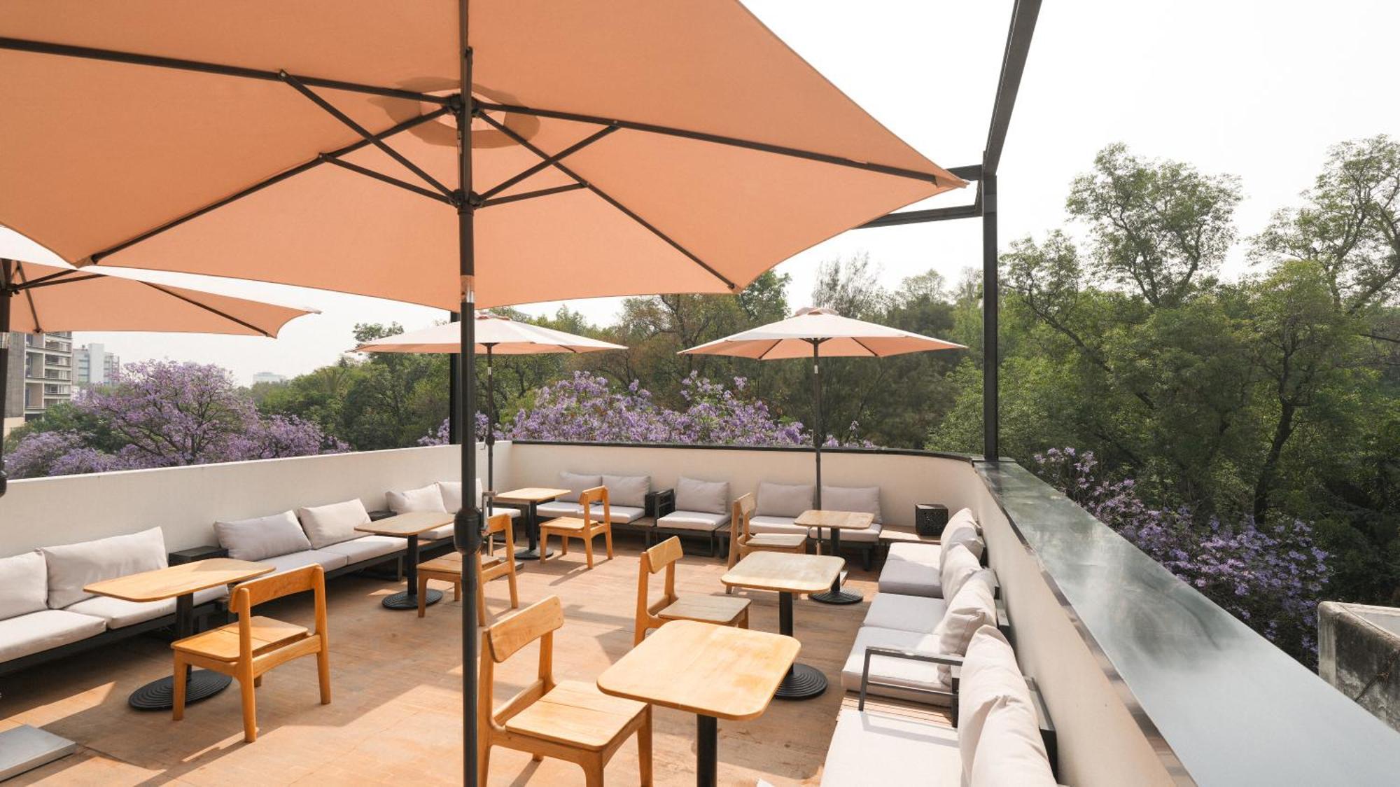 Rodona Hotel Μεξικό Εξωτερικό φωτογραφία